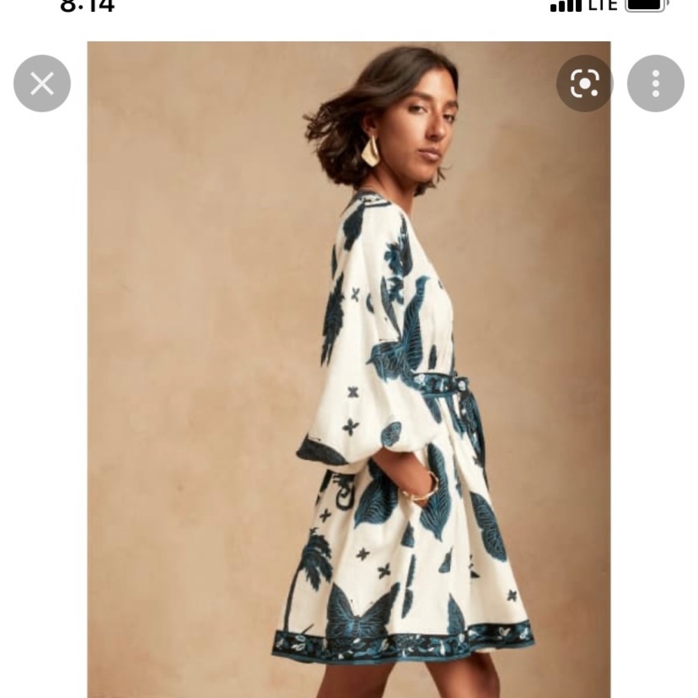 Banana Republic Butterfly Linen mini Dress